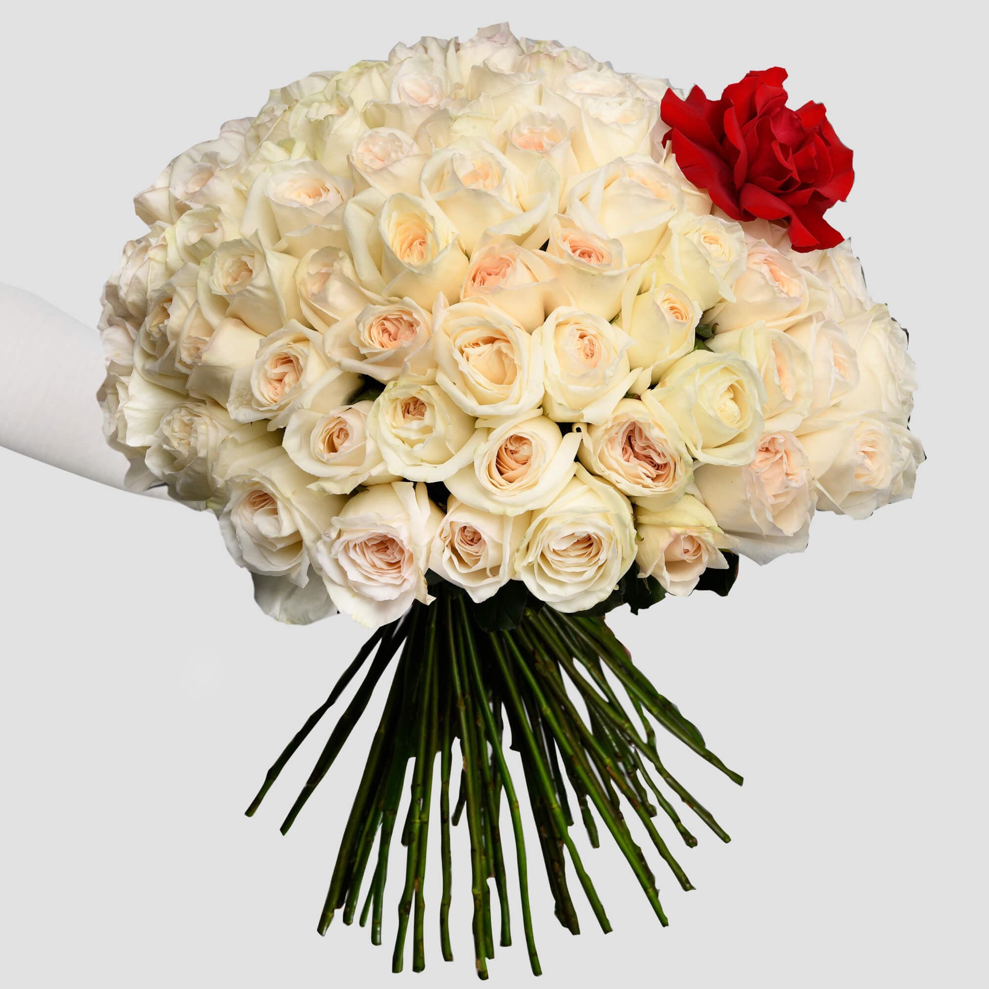 Buchet 101 trandafiri albi thumbnail 2